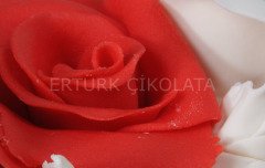 LİMPO KIRMIZI JEL GIDA RENKLENDİRİCİSİ 160 GR