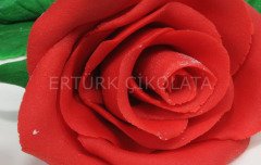 LİMPO KIRMIZI JEL GIDA RENKLENDİRİCİSİ 160 GR