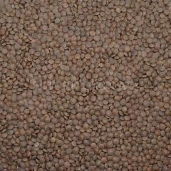 BAŞHAN KABUKLU MERCİMEK 700 GR