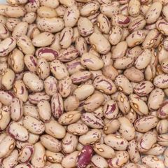BAŞHAN OVAL BARBUNYA 1000 GR KOLİ