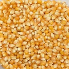 BAŞHAN PATLAYAN MISIR POPCORN 1000 GR KOLİ