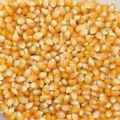 BAŞHAN PATLAYAN MISIR ( POPCORN) 700 GR