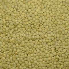 BAŞHAN MERCİMEK YEŞİL 7 MM 900 GR KOLİ