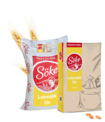 SÖKE LOKMALIK UN 25 KG