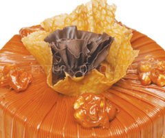 FO KARAMELLİ (FİLLİNG) DOLGU VE KAPLAMA SOSU 5 KG