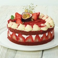 ZEELANDİA BURDENNO RED VELVET CAKE KEK MİKSİ 10 KG