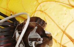 REPO MUZ AROMALI SOĞUK PASTA JELİ 5 KG