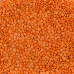 BAŞHAN KIRMIZI FUTBOL MERCİMEK (İTHAL ANKARA CİLA) 2000 GR