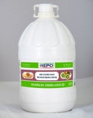 REPO KİVİ AROMALI DONDURMA VE KOKTEYL İÇİN SOS 6 KG