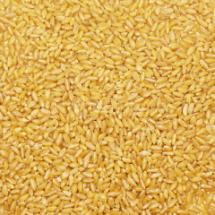 BAŞHAN HERİŞ 2000 GR