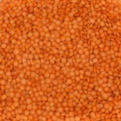 BAŞHAN KIRMIZI FUTBOL MERCİMEK (İTHAL ANKARA CİLA)3000 GR
