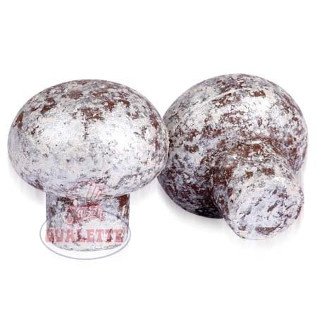 SCHÖNE SCHOKOLADE SEDEF RENKLİ MANTAR ÇİKOLATA 2,4 KG