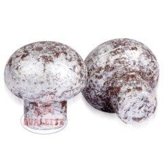 SCHÖNE SCHOKOLADE SEDEF RENKLİ MANTAR ÇİKOLATA 2,4 KG
