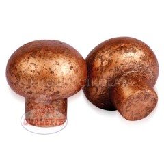 SCHÖNE SCHOKOLADE BAKIR RENKLİ MANTAR ÇİKOLATA 2,4 KG