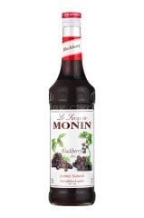MONİN BÖĞÜRTLEN ŞURUBU 700 ML