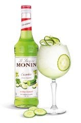 MONİN SALATALIK ŞURUBU 700 ML