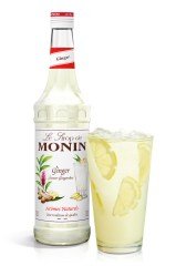 MONİN ZENCEFİL ŞURUBU 700 ML