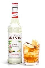 MONİN ZENCEFİL ŞURUBU 700 ML