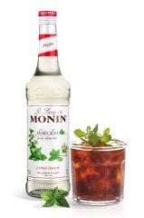 MONİN MOJİTA MİNT ŞURUBU 700 ML