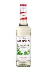 MONİN MOJİTA MİNT ŞURUBU 700 ML
