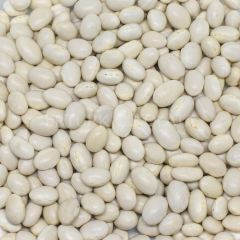 BAŞHAN ŞEKER FASULYE 5000 GR ÇUVAL