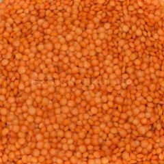 BAŞHAN KIRMIZI FUTBOL MERCİMEK (İTHAL ANKARA CİLA) 5000 GR ÇUVAL