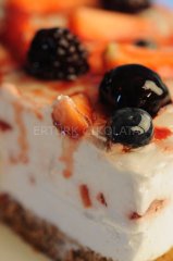 FO KİVİLİ DONDURMA VE PASTACILIK İÇİN KARIŞIM (%40 KİVİ) 1600 GR