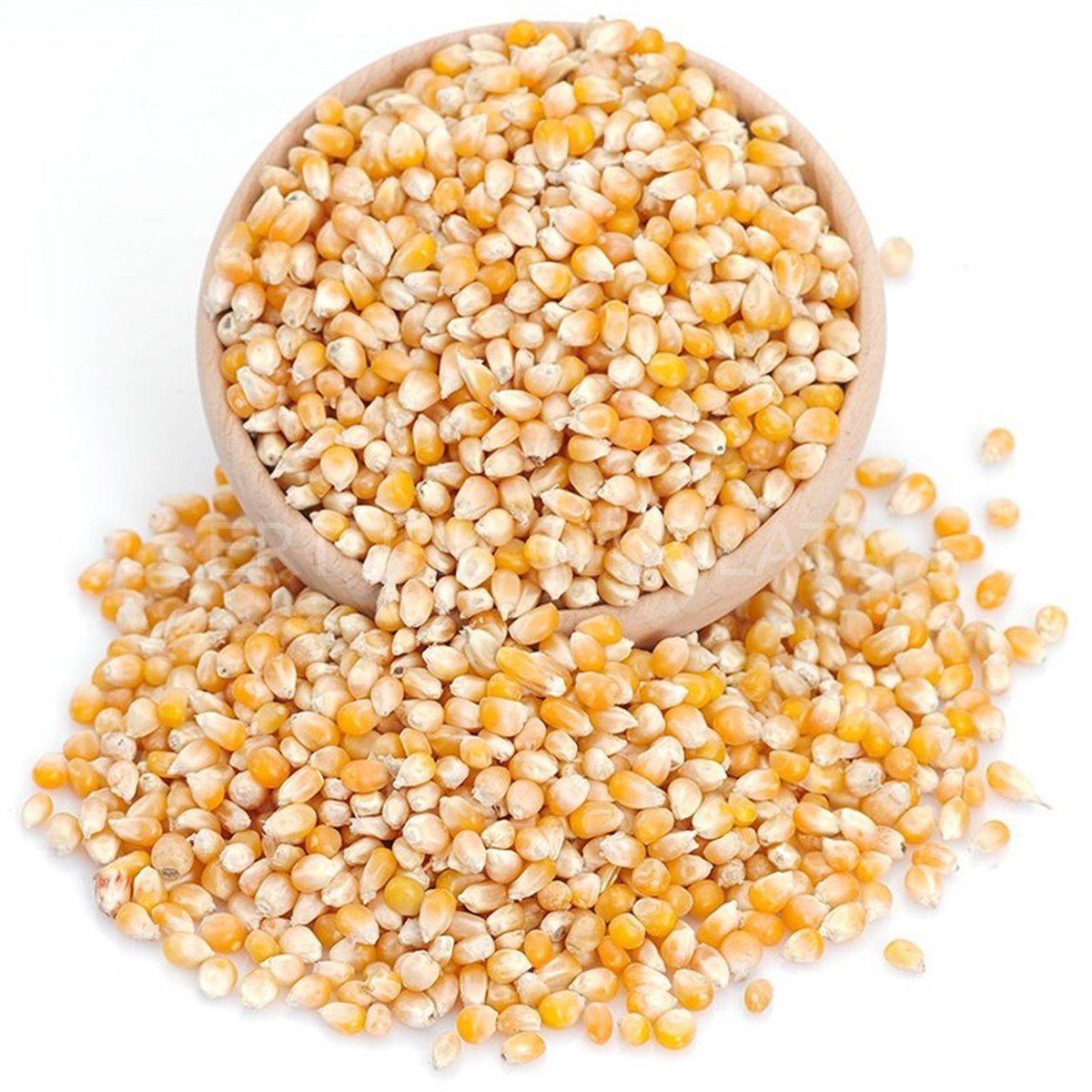 BAŞHAN PATLAYAN MISIR ( POPCORN ) 10 KG ÇUVAL