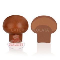 SCHÖNE SCHOKOLADE SÜTLÜ MANTAR ÇİKOLATA