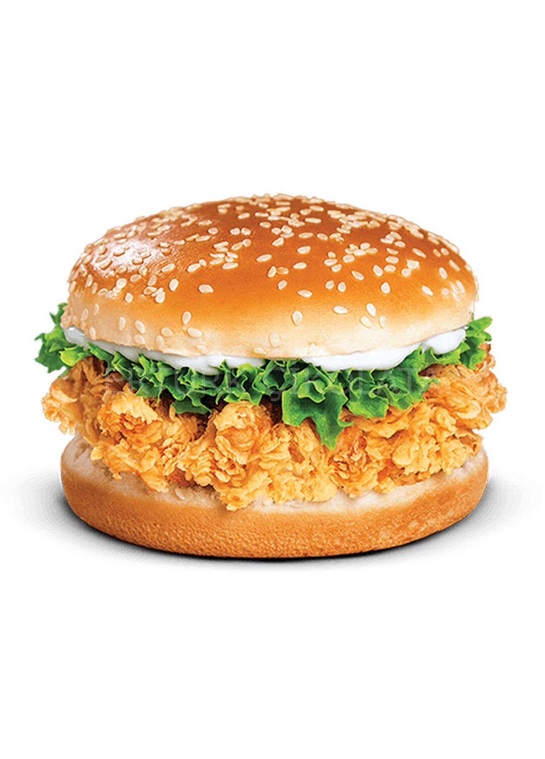 NEWER FOODS BİTKİ BAZLI ÇITIR BURGER 230 GR