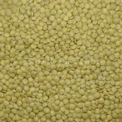 BAŞHAN YEŞİL MERCİMEK 6,5/7 25 KG ÇUVAL