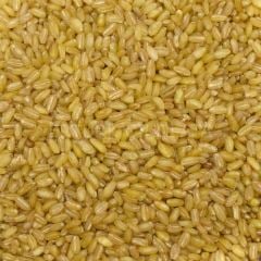BAŞHAN BALDO BULGUR 25 KG ÇUVAL