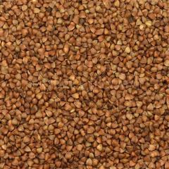BAŞHAN GREÇKA KARA BUĞDAY 500 GR