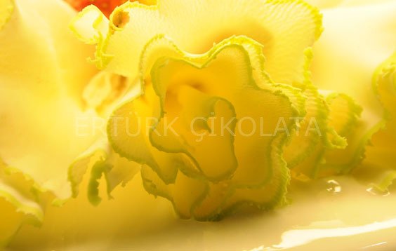 FO LİMON DEKORASYON AMAÇLI EKLER SOS 1 KG
