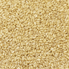 BAŞHAN AŞURELİK BUĞDAY 50 KG ÇUVAL