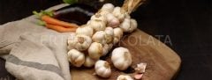 GİZTAT SARIMSAKLI ÇEŞNİ 750 G