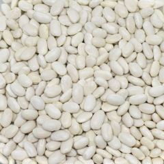 BAŞHAN SIRA (ÇUMRA) FASULYE 650 GR