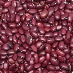 BAŞHAN KIRMIZI KIRGIZİSTAN FASULYE 5000 GR KOLİ