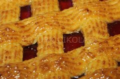 FO VİŞNELİ PASTA DOLGUSU (%5 VİŞNE) 1 KG